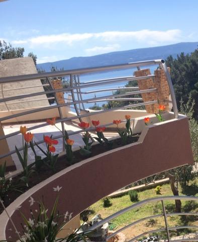 Villa Perkovic Mimice Kültér fotó